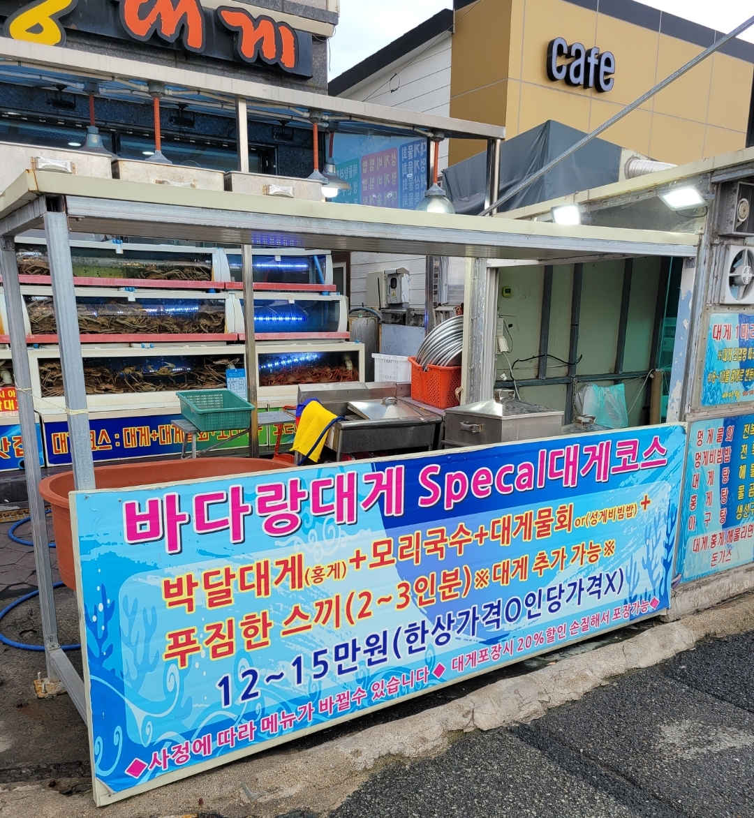바다랑대게 대게코스 할인