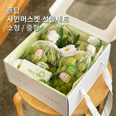  샤인머스켓 선물세트 , 가격정보 + 후기보기