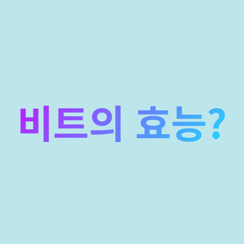  비트의 효능