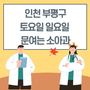 인천 부평구 토요일 일요일 소아과 진료 병원 리스트