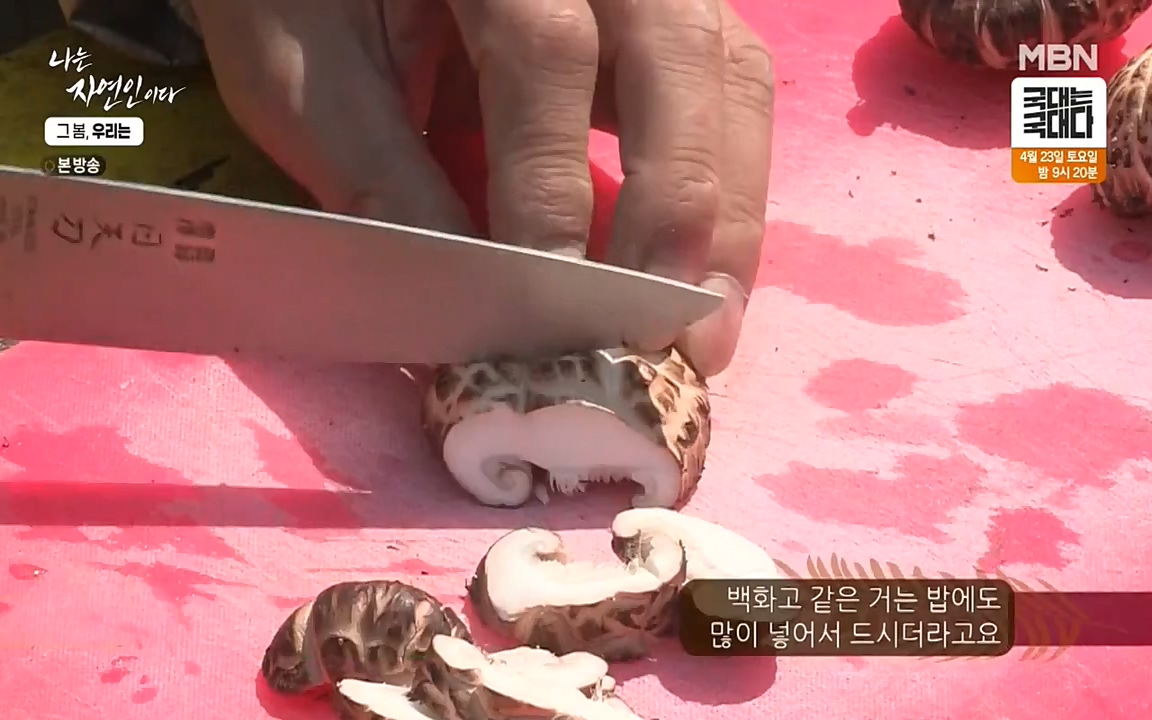 나는 자연인이다.E498.220421p-NEXT.mp4_20220421_184055.631.jpg