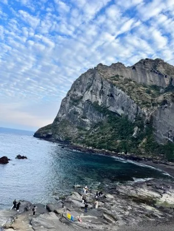 성산포항 여객터미널 우도 배시간표 배편 예약 요금_19