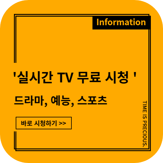 실시간 TV 무료시청
