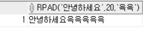 RPAD 함수 예시