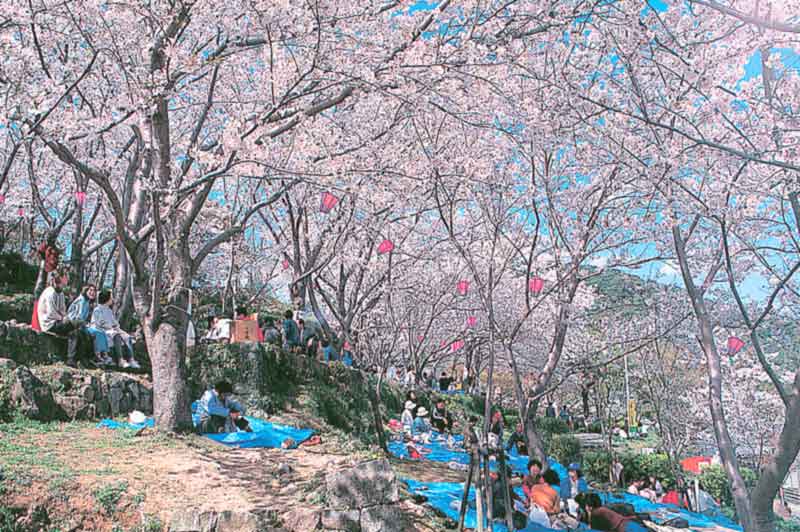 나가사키 立山公園