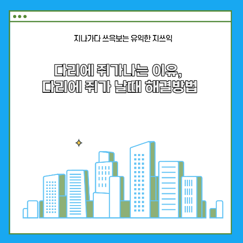 다리에 쥐가나는 이유&#44; 다리에 쥐가 날때 해결방법