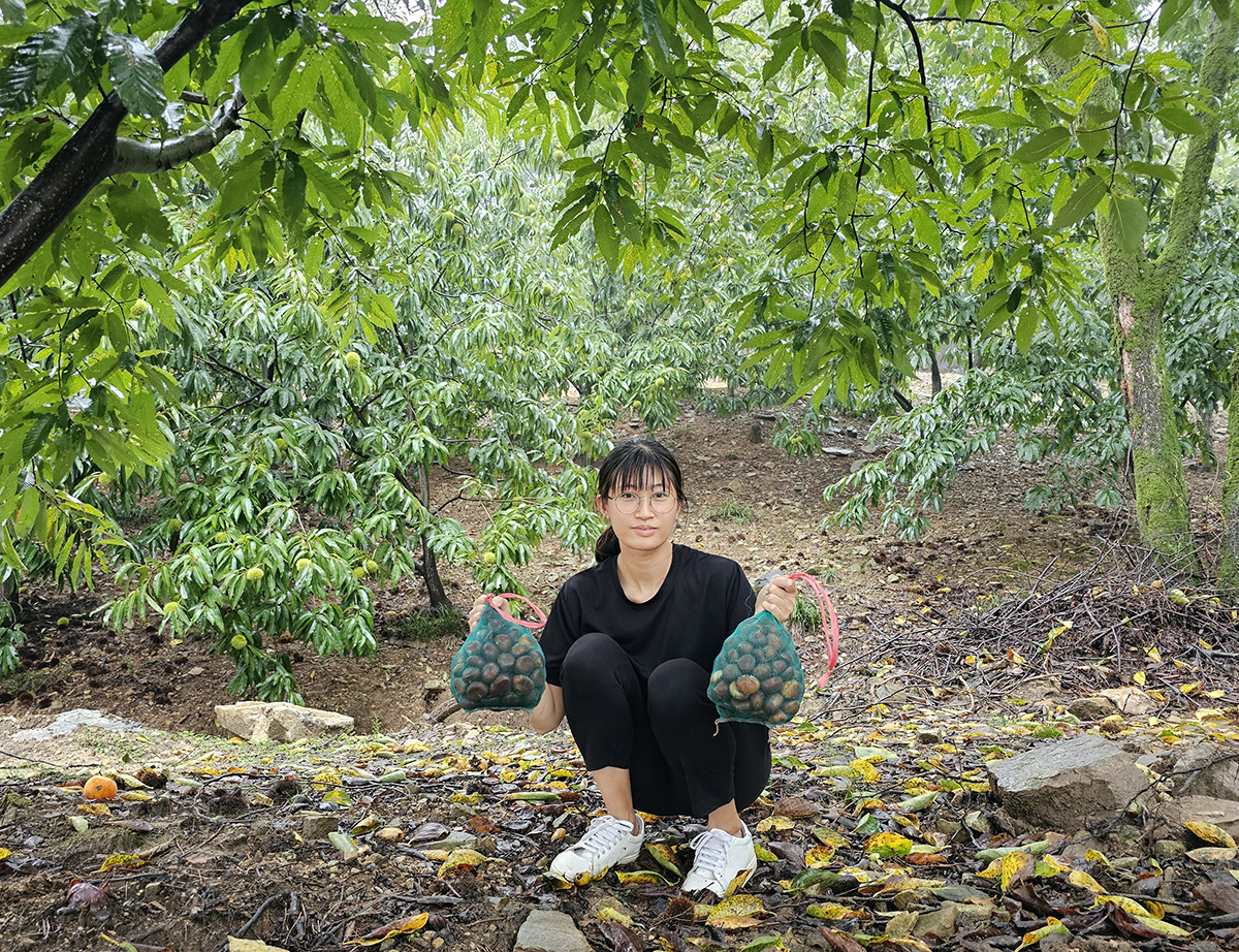 공주알밤농원 이미지
