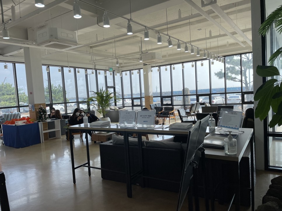 겨울 여행지 겨울 국내 여행지 :제주도 31