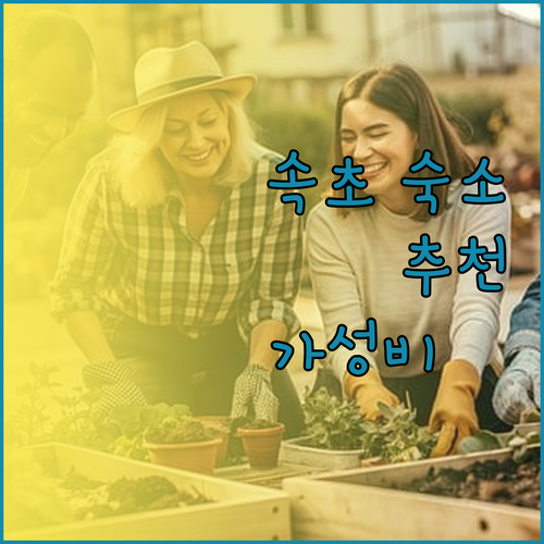 속초 여행 숙소 고민 끝! 가성비 &