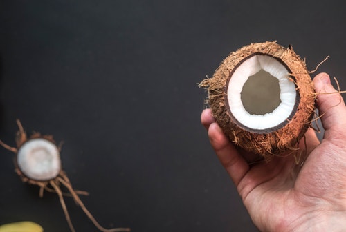 코코넛 단점 및 효능 BEST 5