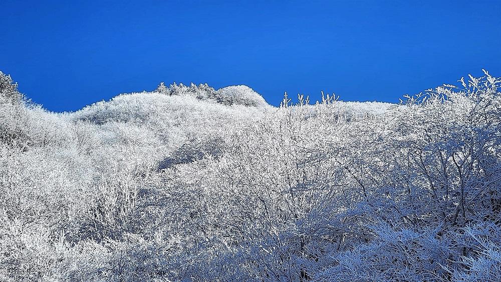 태기산 설경