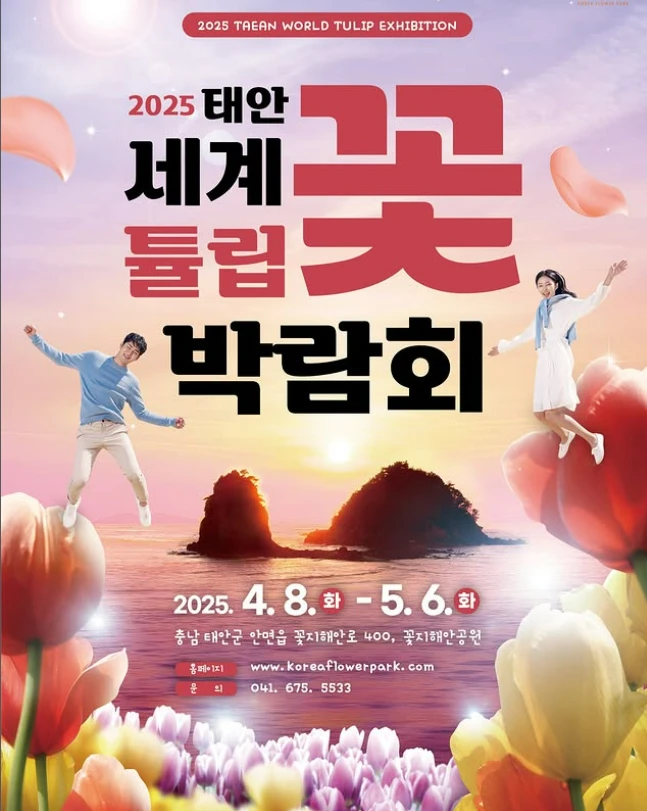 2025 태안튤립축제 일정, 입장료, 포토존, 주차장 총정리(+실시간 개화상황)