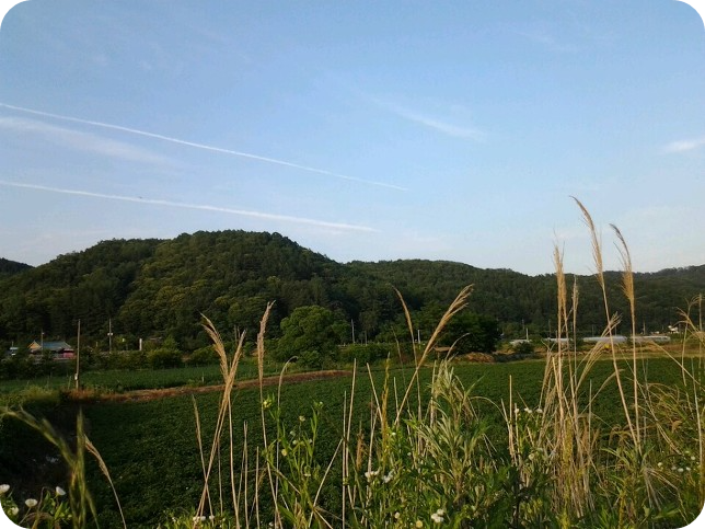 괴산-운곡보건소-근처-동네-산책길-엄니랑-산책하기-두넓은-평야