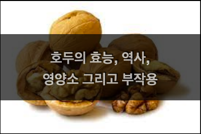  호두의 역사와 효능, 영양소와 부작용 설명 (호두 3알 칼로리 등 영양소 함량)