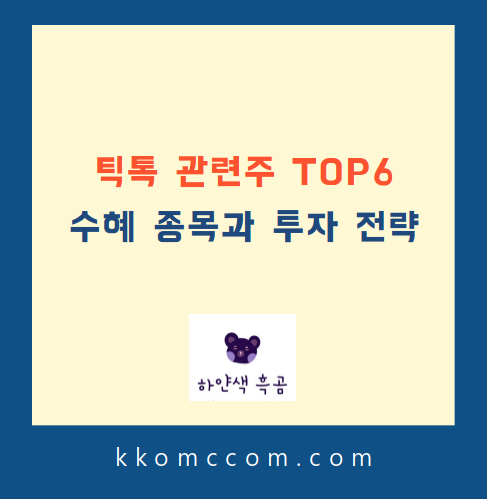 틱톡 관련주 포스팅 썸네일