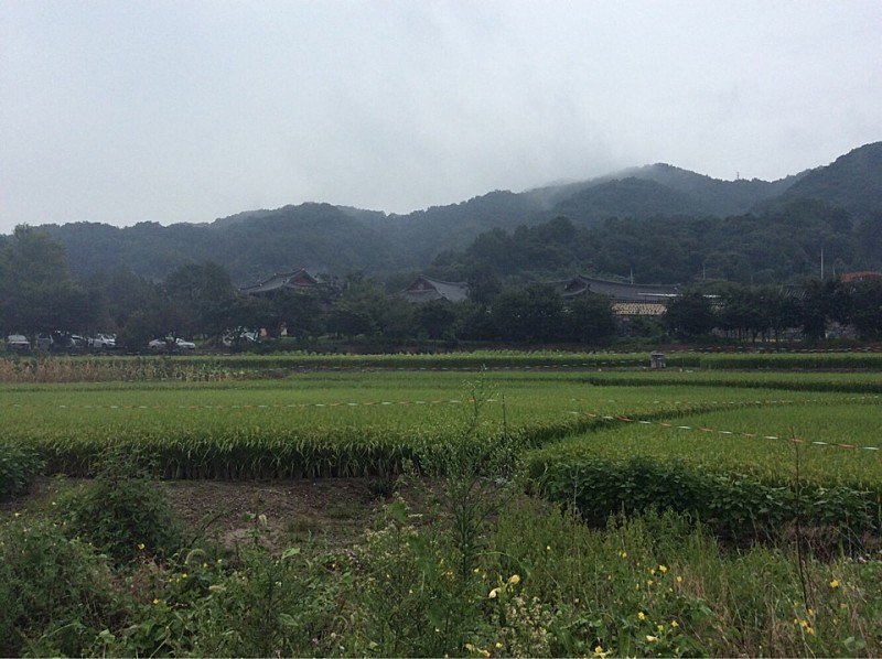  논산 천호산 개태사