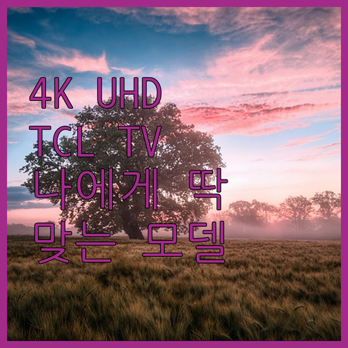 4K UHD TCL TV 선택 가이드