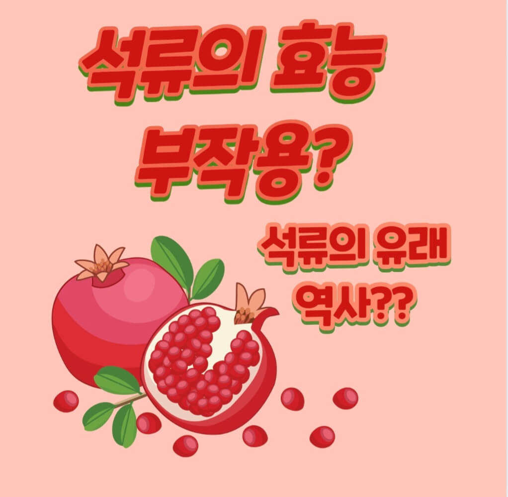  석류 효능 부작용??