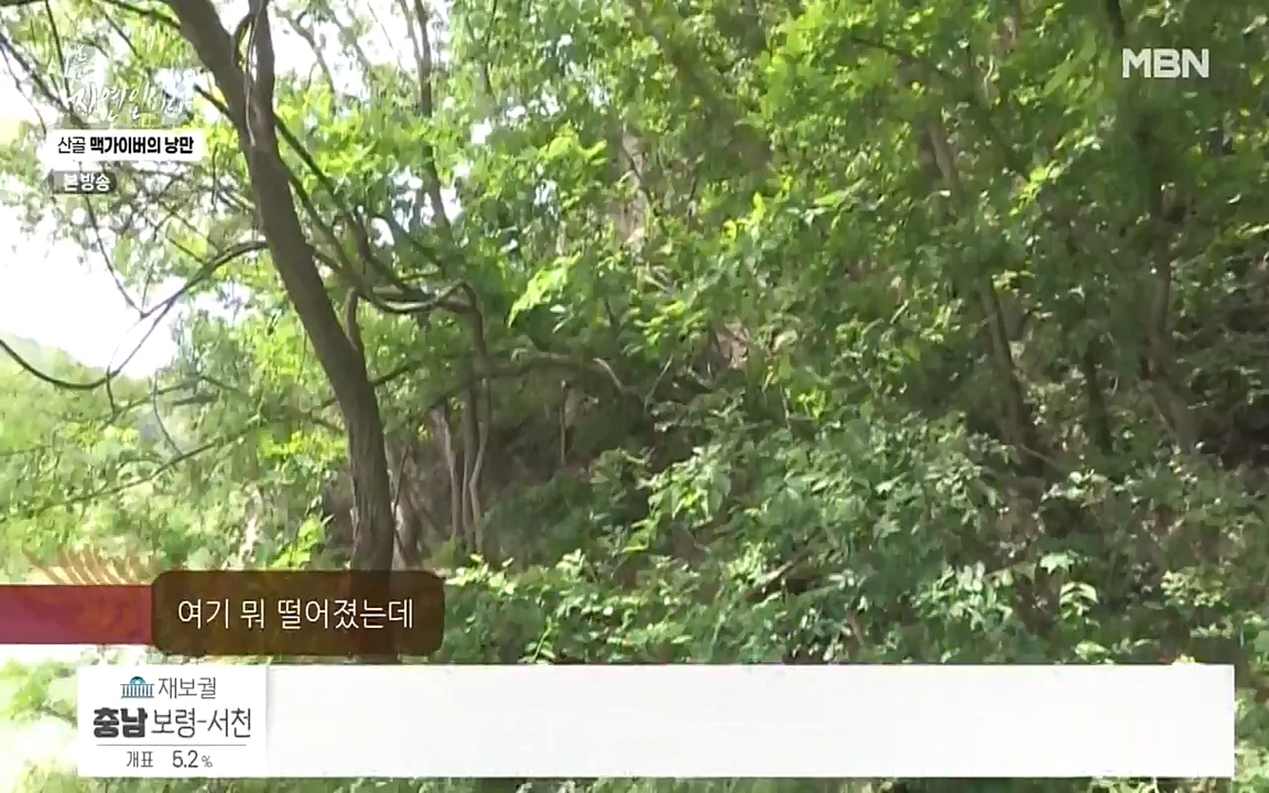 나는 자연인이다.E504.220602p-NEXT.mp4_20220602_201435.884.jpg