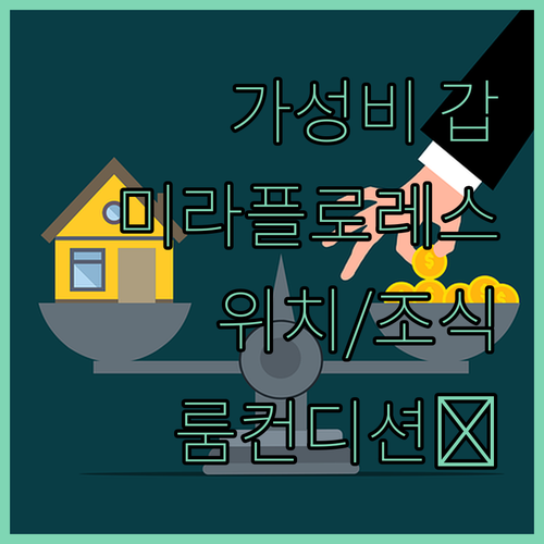 가성비 갑! 이비스 라르코 미라플로레