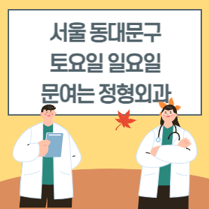 서울 동대문구 토요일 일요일 정형외과 진료 병원 리스트