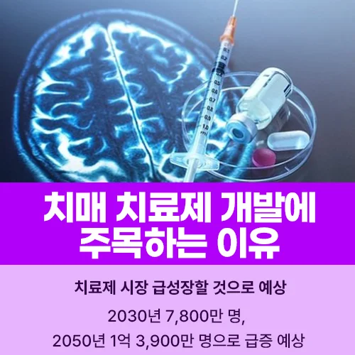 경구용 치매 치료제