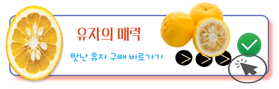 유자의매력