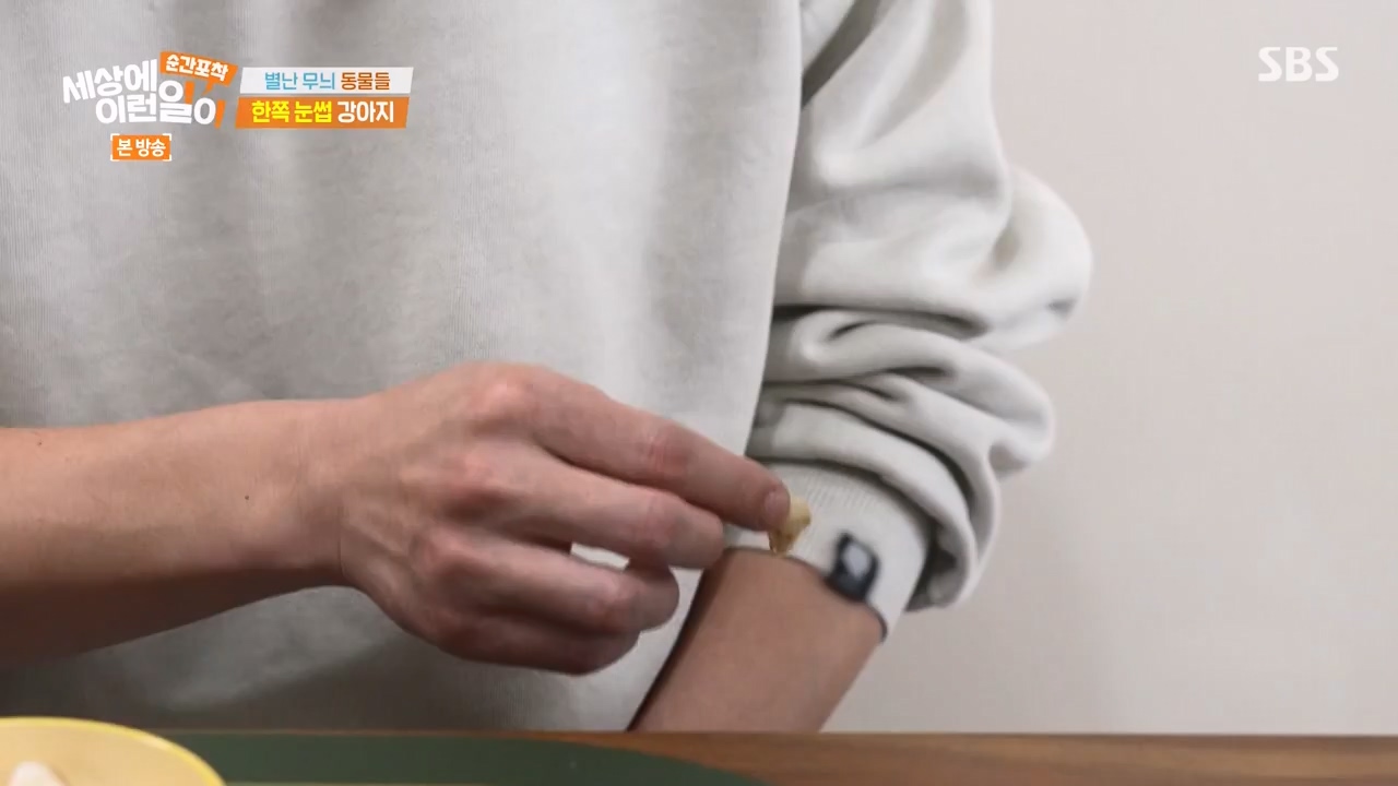 순간포착 세상에 이런일이.E1270.240324p-NEXT.mp4_20240324_164816.034.jpg