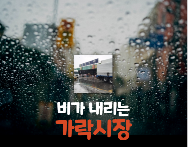  [경매사의 생각] 비가 내리는 "가락시장"