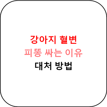  강아지 혈변 원인, 당장 병원에 가야하는 경우