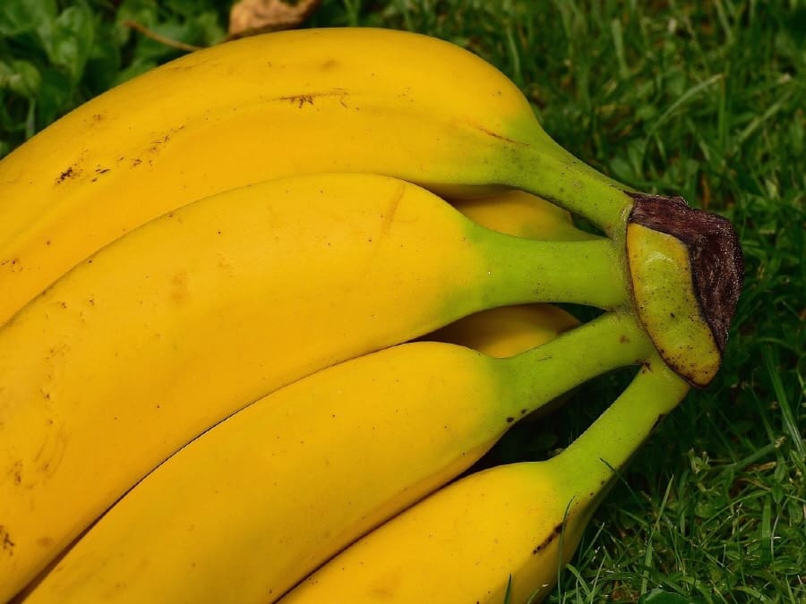 바나나 효능 #6. 혈압 건강
