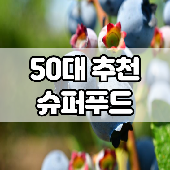 50대 추천 슈퍼푸드