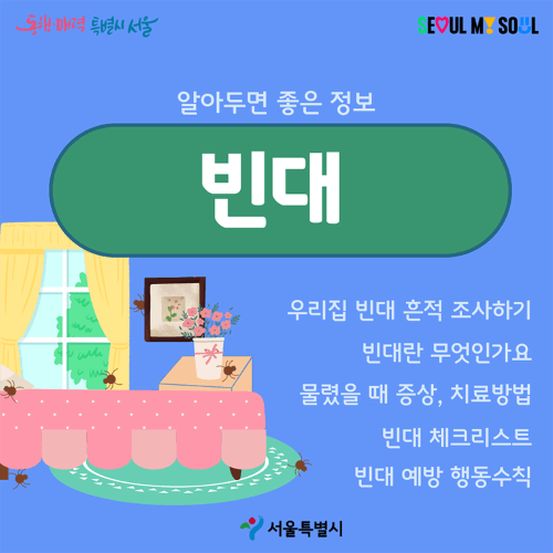 빈대 예방 증상 치료방법 체크리스트