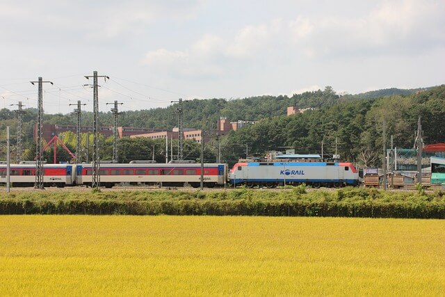 2025 설날 기차표 예매 방법 및 일정