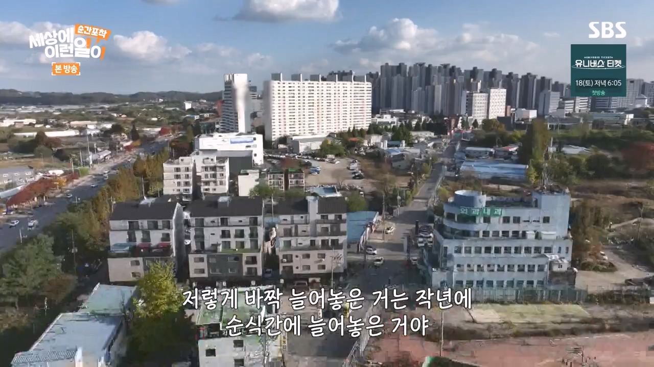 순간포착 세상에 이런일이.E1252.231112p-NEXT.mp4_20231112_170302.505.jpg