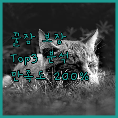 브루킹스 '꿀잠' 보장 호텔 Top3
