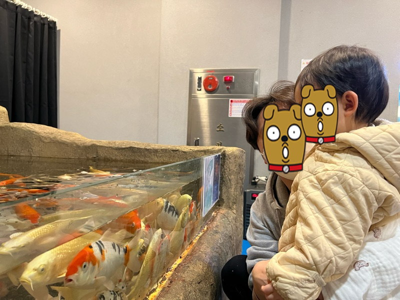 천안 어푸어푸 물고기