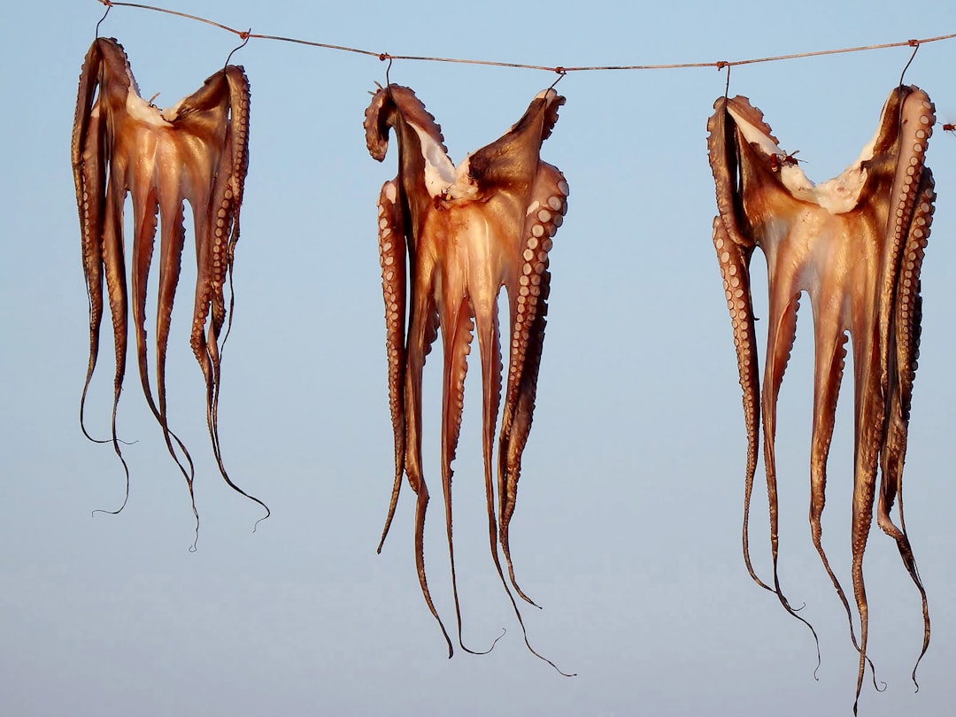 Drying.