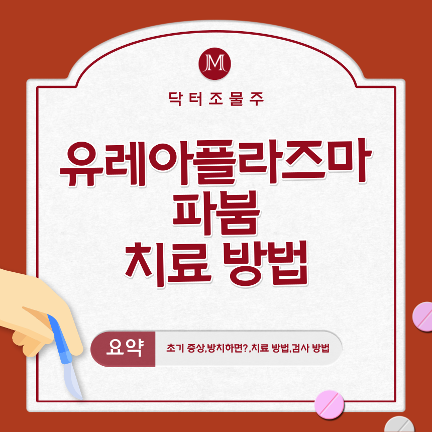  유레아플라즈마 파붐 치료 방법