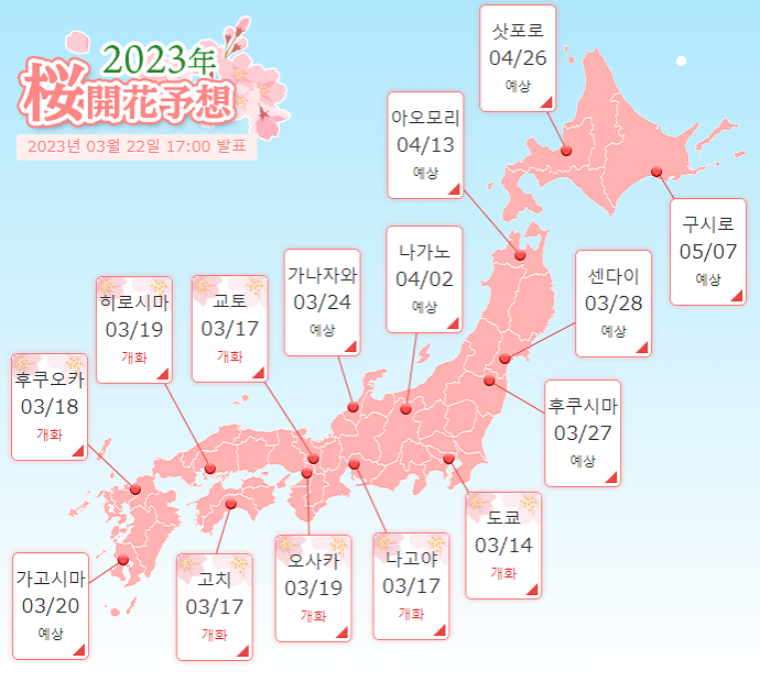 일본 - 벚꽃 - 개화 - 계절