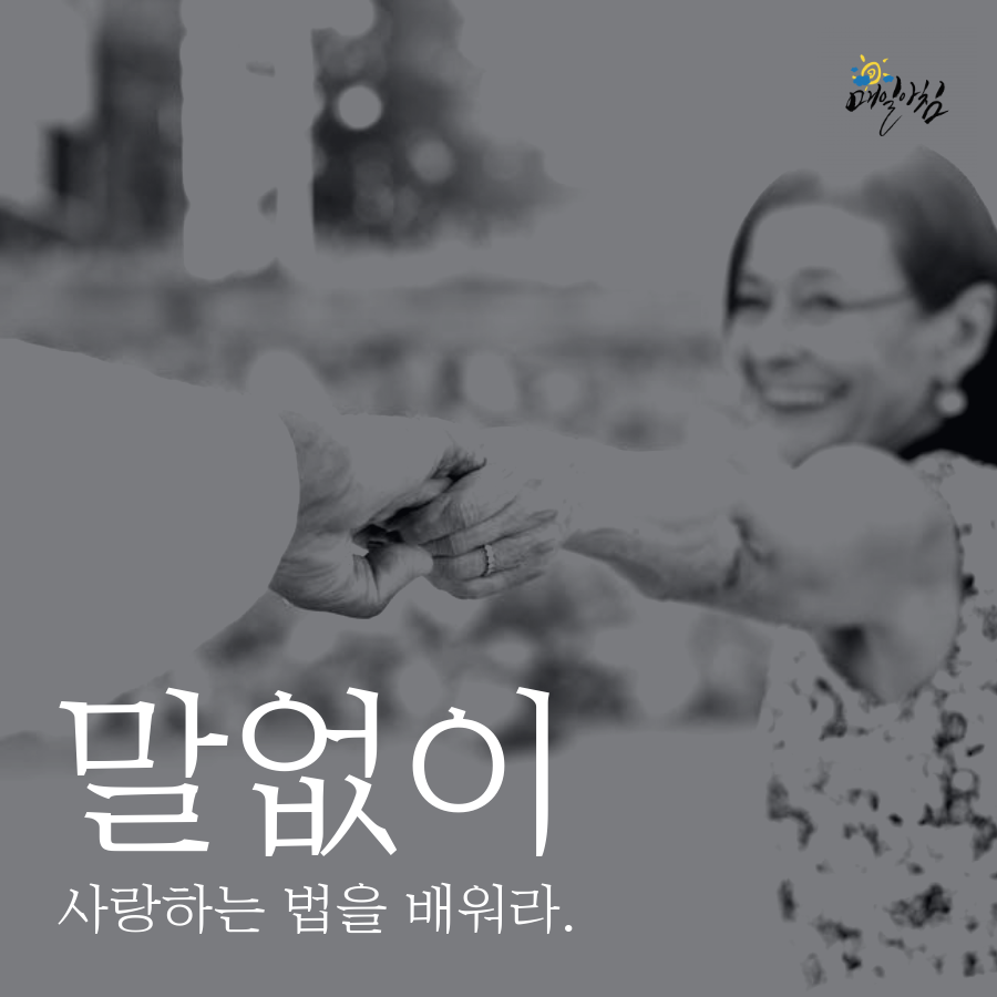  [매일아침좋은글] 말없이 사랑하는 법을 배워라