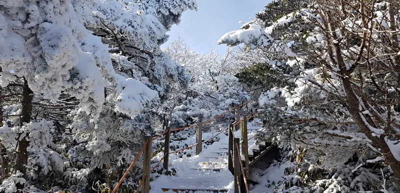 제주 한라산 설경 겨울왕국