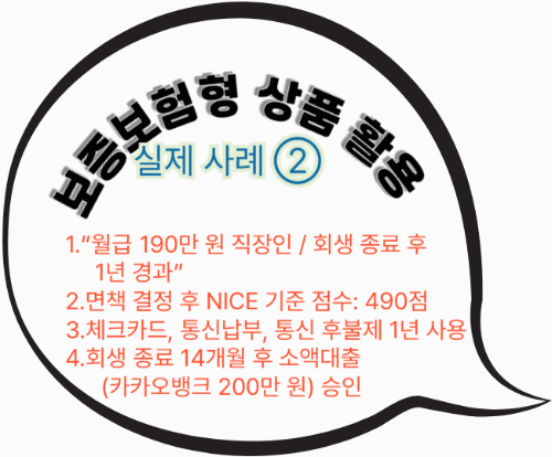 보증보험형 상품 활용 실례2