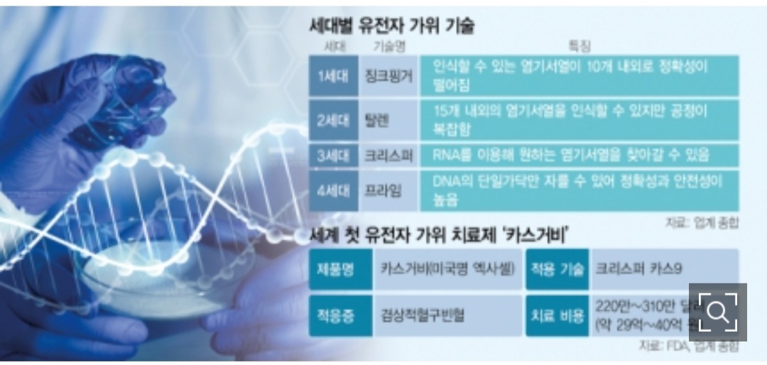 글로진 이미지