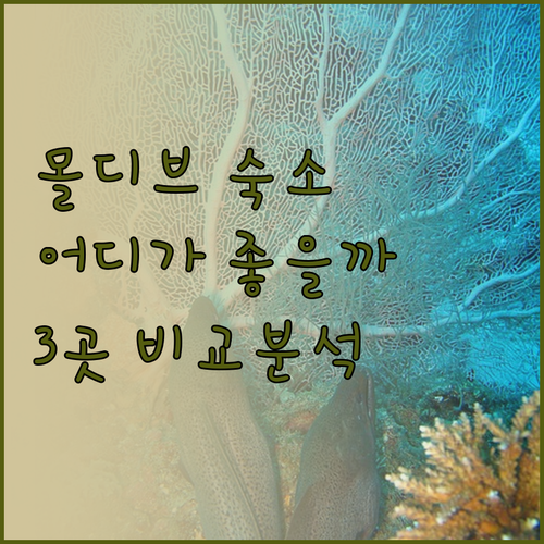 몰디브 최고의 선택 헤리턴스 아라, 
