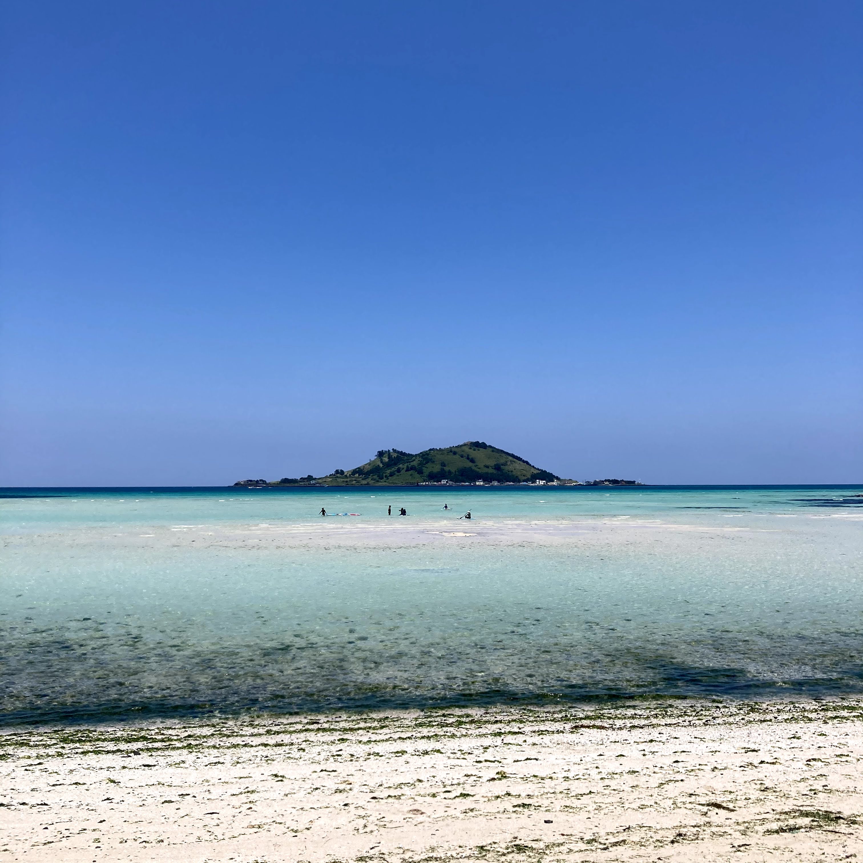 2021 제주 3 - 21.05.22-24