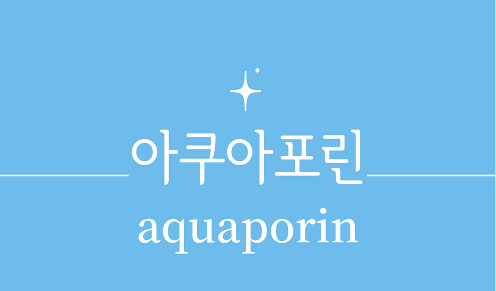 '아쿠아포린(aquaporin)'