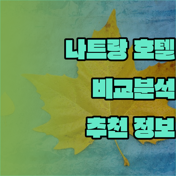 나트랑 여행 필수 정보 버고 호텔 프