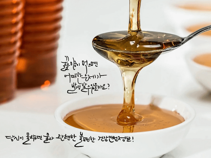 꿀-건강정보-소개글