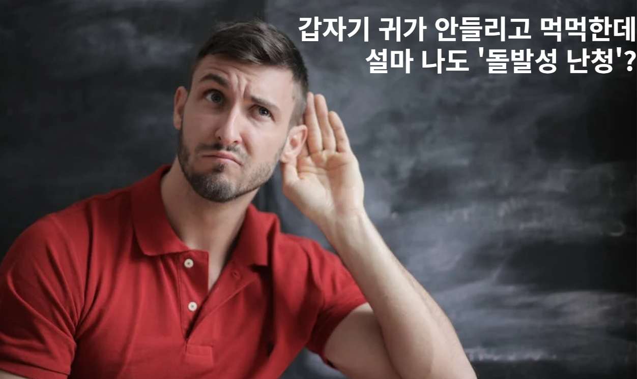 돌발성 난청 혹시 나도? 초기증상과 치료방법